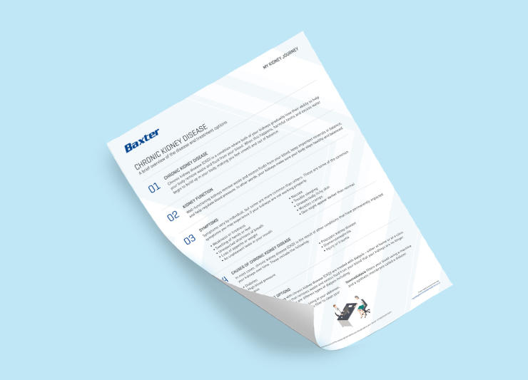 Image of the downloadable page you can access to help you understand the basic information of CKD